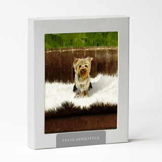 Yorkshire - Dog Card