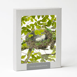 Good Nest - Just Because Card