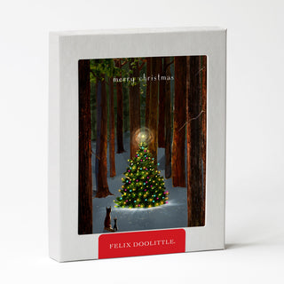 Tree Lighting - Christmas Card