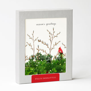 Cardinal and Evergreen - Holiday Card