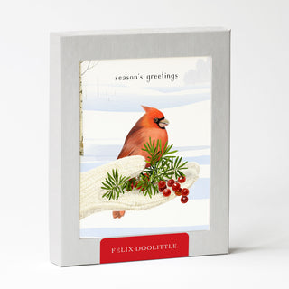 Cozy Cardinal - Holiday Card