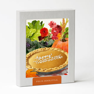 Pumpkin Pie - Thanksgiving Card