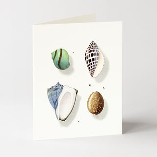 Sea Jewels - Just Because Card