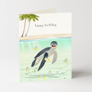 Baby Sea Turtle - Birthday Card