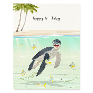 Baby Sea Turtle - Birthday Card