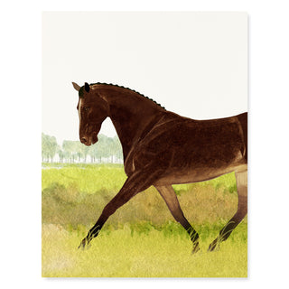 Chester - Equestrian Card
