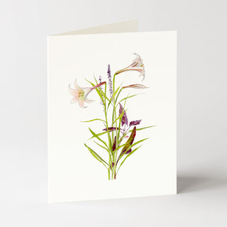 Lilium - Sympathy Card
