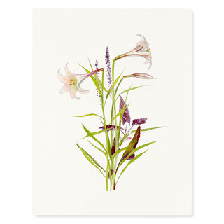 Lilium - Sympathy Card