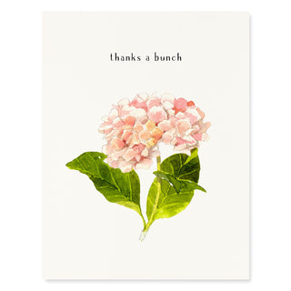 Pink Hydrangeas - Thank You Card