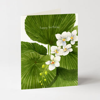 Birthday Paradise - Birthday Card