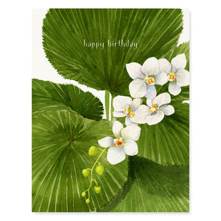 Birthday Paradise - Birthday Card