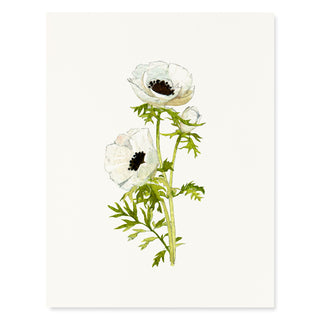 Anemone Blossoms - Flower Garden Card