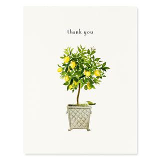 Lemon Topiary - Thank You Card