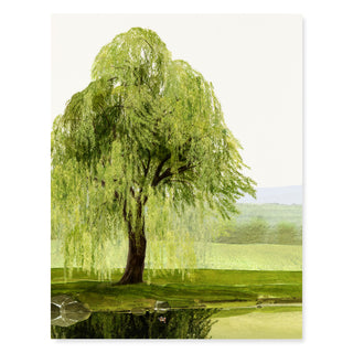 Whispering Willow - Sympathy Card