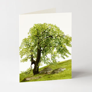 Oak Hill - Just Because Card