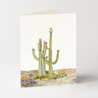 Desert Perch - Just Because Card