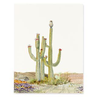 Desert Perch - Just Because Card
