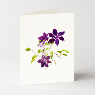 Clematis Vine - Flower Garden Card