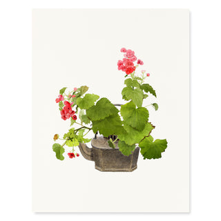 Tea Pot Begonias - Flower Garden Card