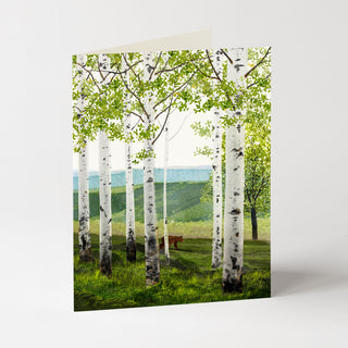 Birch Forest - Just Because Card
