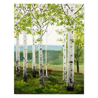 Birch Forest - Just Because Card