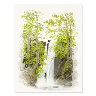 Falls - Just Because Card