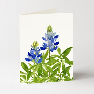 Bluebonnet - Flower Garden Card
