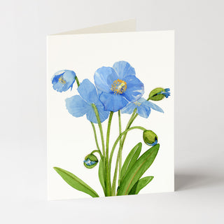 Blue Poppies - Flower Garden Card
