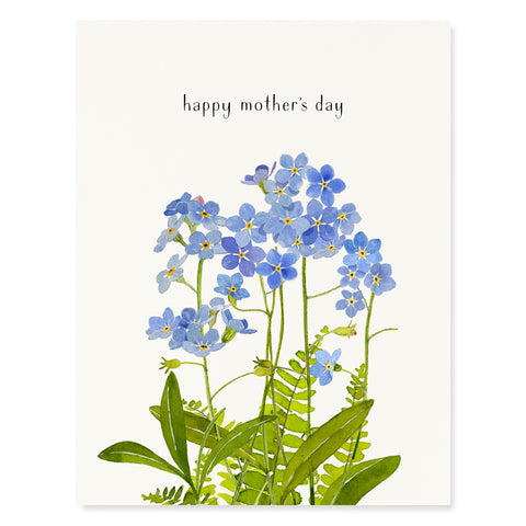 Forget-Me-Not Blossoms