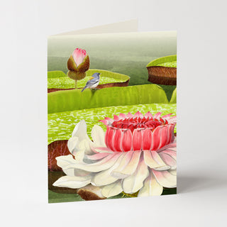 Victoria Water Lilies - Flower Garden Card