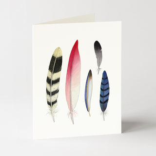 Feather Collection - Just Because Card