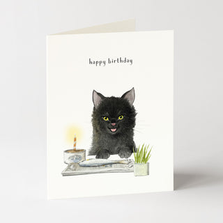 Fish Cake - Birthday Card