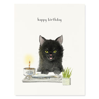 Fish Cake - Birthday Card