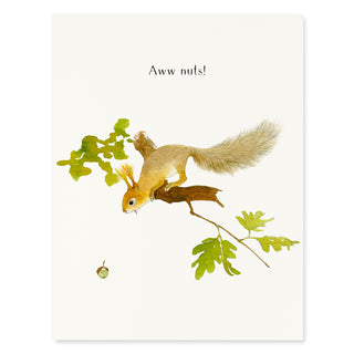 Aww Nuts - Apology Card