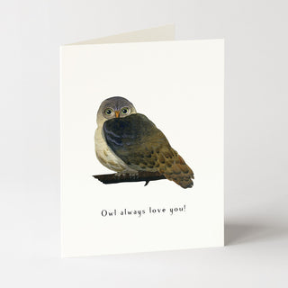 Hoot Do You Love? - Love & Friendship Card