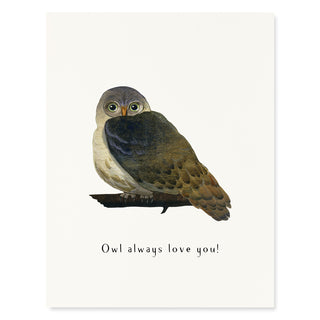 Hoot Do You Love? - Love & Friendship Card