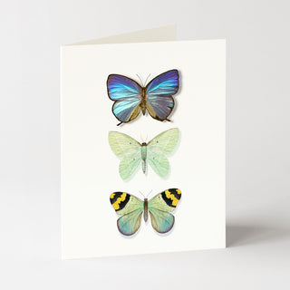 Butterfly Trio - Just Because Card