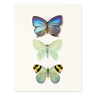 Butterfly Trio - Just Because Card