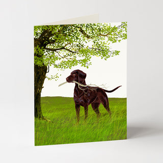 Stick - Dog Card