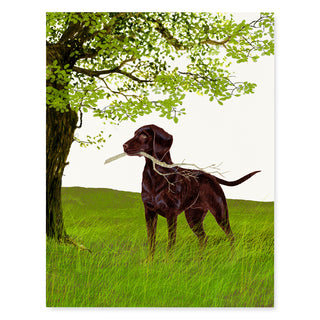 Stick - Dog Card