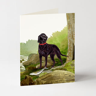 By the Stream - Dog Card