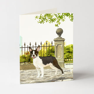 Boston Terrier - Dog Card