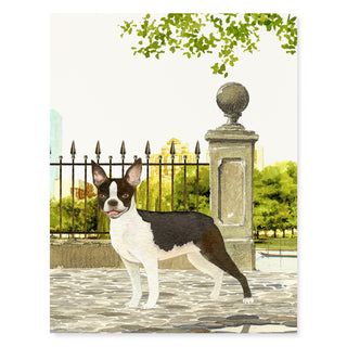 Boston Terrier - Dog Card