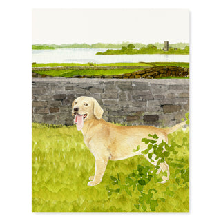 Golden Retriever - Dog Card