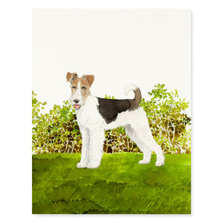 Fox Terrier - Dog Card