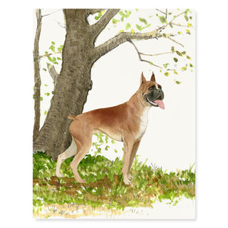 Boxer Bulldog - Dog Card