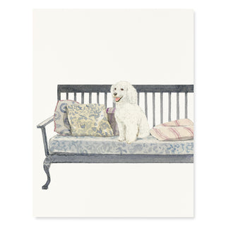 Poodle on Bench - Dog Card