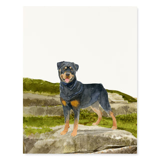 Rottweiler - Dog Card