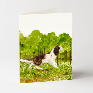 English Springer Spaniel - Dog Card