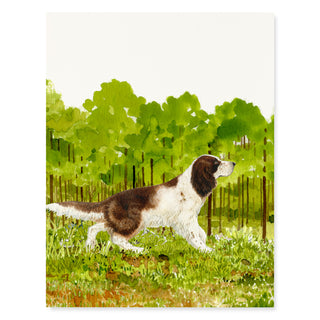 English Springer Spaniel - Dog Card